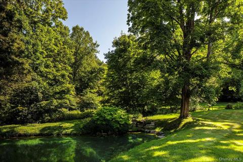 Pond