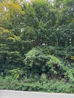 City of Peekskill lot size 7500. Buyer may need a variance. Property is hilly