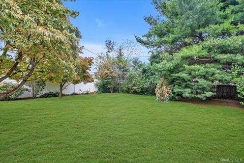 Yard