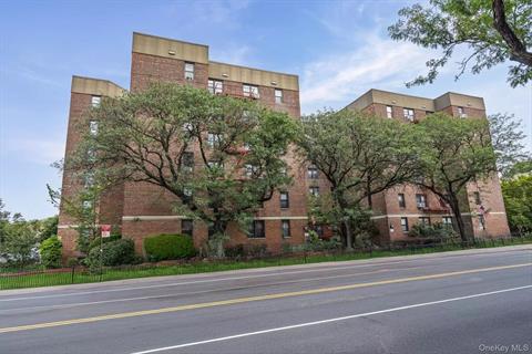 Front of Structure