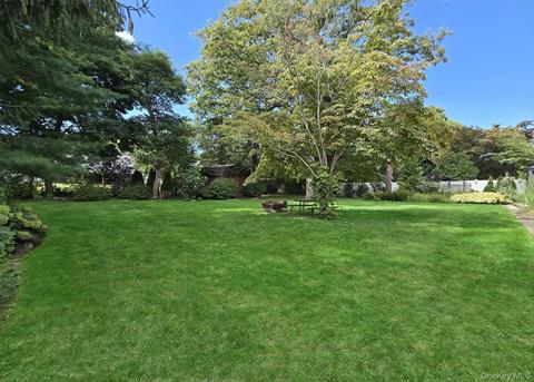 Yard