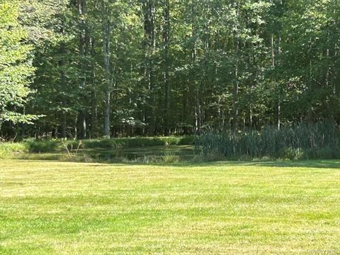 Pond