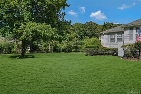 Yard