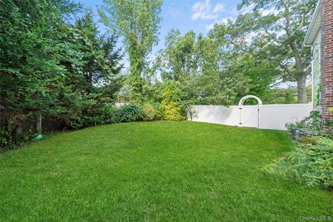 Yard