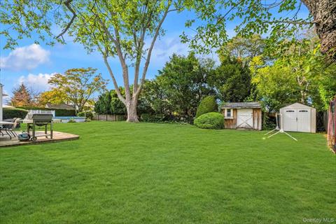 Yard