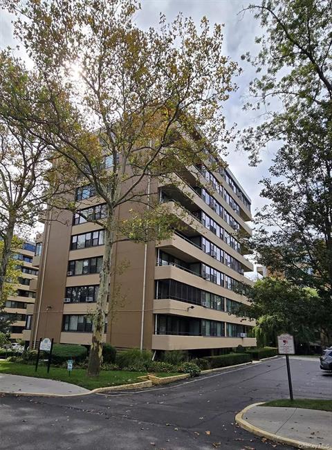 Front of Structure