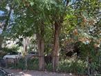 Unlock the potential of this prime 2, 000 sq ft parcel in sought-after Jamaica, featuring R4 zoning. Perfect for both end users and investors, this versatile property offers a unique opportunity for residential or multi-family development. Located in a vibrant community with easy access to transportation and amenities, this is your chance to invest in a thriving area. Don&rsquo;t miss out on this exceptional real estate offering!