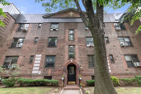 Front of Structure