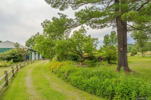 Yard
