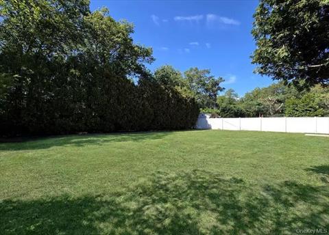 Yard