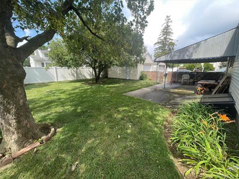 Yard