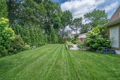 Yard
