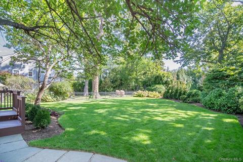 Yard