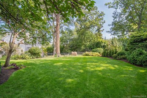 Yard