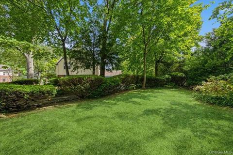 Yard