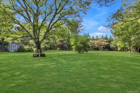 Yard