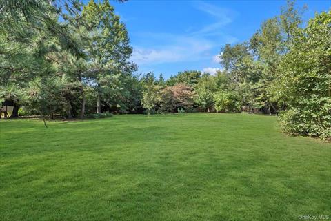 Yard