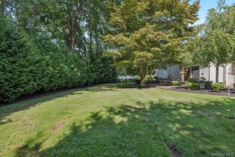 Yard