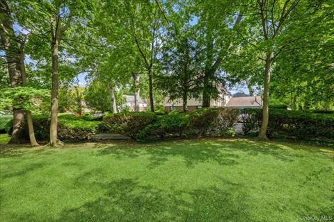 Yard
