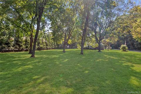 Yard