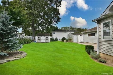 Yard