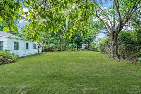 Yard