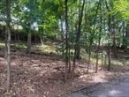 Approved subdivision in Greenburgh/Ardsley. Lot 2 consists of two parcels and is zoned for Ardsley schools. The subdivision map has been filed and recorded; updated tax lot numbers and acreage will appear in future county tax records. Proposed home size is approximately 2, 400 sq. ft. Excellent opportunity to build a new residence in an established community. Tax records state 0 square feet - undeveloped land, no building exists. 0.28 as per filed plat.