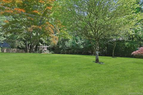 Yard