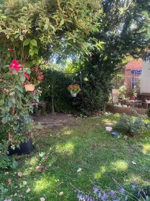 Yard