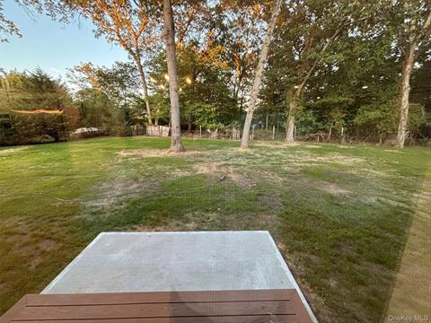 Yard