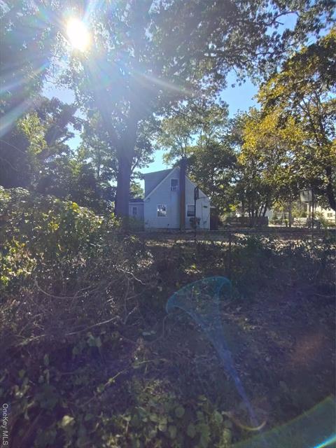 Yard
