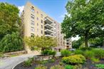 Sunny and spacious 1 bedroom, 1 bath in Stewart Heights offers an incredible opportunity to renovate and customize to your taste. Stewart Heights is ideally located in the center of Mt Kisco, NY just five minutes from shopping, dining, the train station, healthcare, and major parkways. Ready for updates, this unit features a living and dining area, kitchen, bath and bedroom. Additional storage includes a linen closet and entry closet. Each floor includes a shared laundry room, and extra storage space is available on the main level. On-site superintendent, one assigned parking spot, heat & hot water included in monthly maintenance.