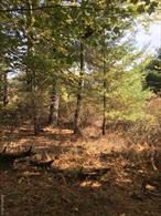 WATER FRONT LAND of Lake Renee. 0.59 Acre.