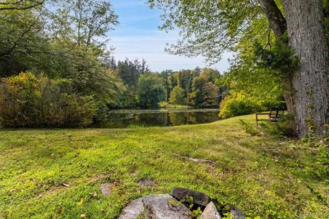 Pond