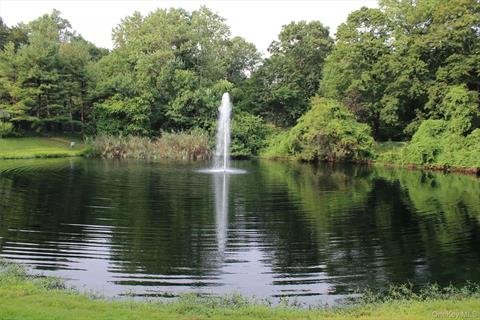 Pond