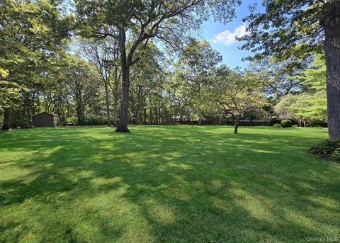 Yard