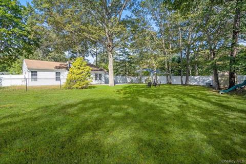 Yard