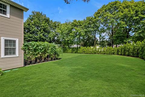 Yard