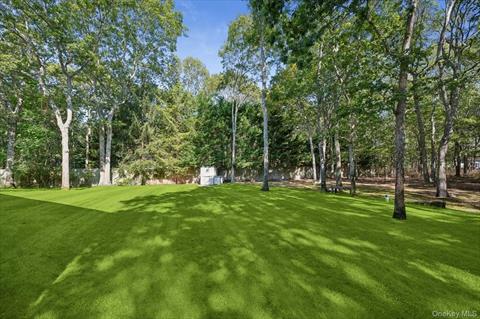 Yard