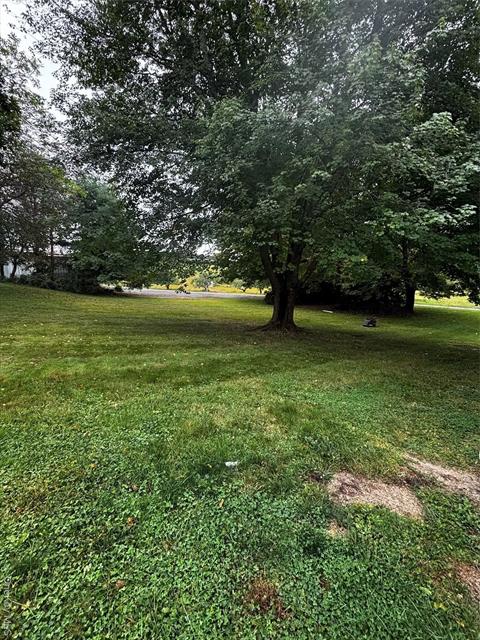 Yard