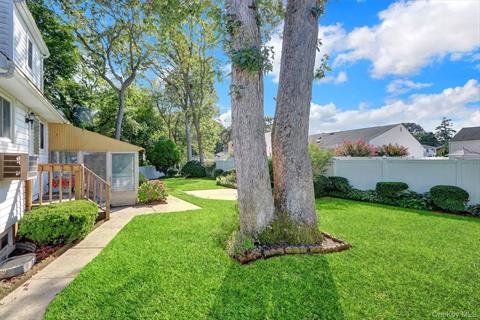 Yard