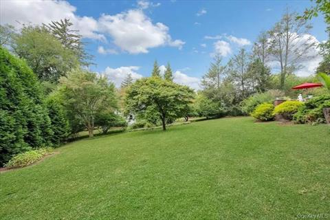 Yard