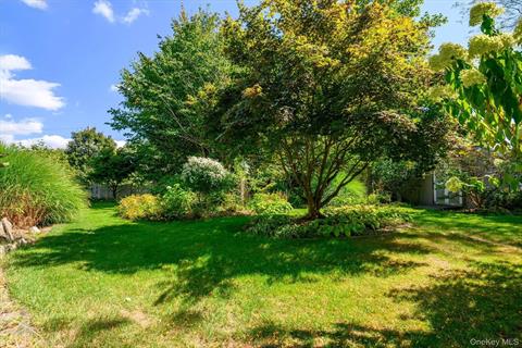 Yard