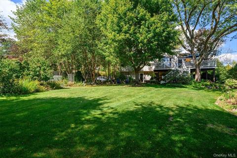 Yard
