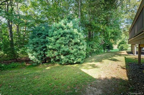 Yard