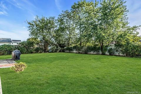 Yard