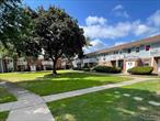 Renovated 1 Bedroom Condo Spacious Living Room and Bedroom