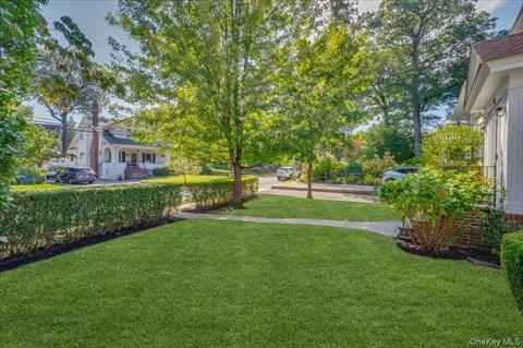 Yard