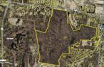 164 Acres in Red Hook, NYLook no furtherâ€”this extraordinary 164-acre parcel offers unmatched privacy, beauty, and convenience just one mile from the heart of Red Hook Village.Mature, wooded landscape with natural privacyMultiple secluded building sites ideal for a private estate or retreatCurrently Zoned R3 with 682 feet of road frontageEasy access to the Taconic Parkway and Amtrak train stationBeyond the land itself, this property is at the center of all the Hudson Valley has to offer. Explore the vibrant cultural scene at nearby Bard College, with world-class performances at the Fisher Center for the Performing Arts. Stroll through the charming villages of Red Hook, Rhinebeck, and Tivoli, each filled with local shops, farmers markets, and celebrated farm-to-table dining.From art galleries and music festivals to the historic Hudson River estates, this location offers a lifestyle rich in culture and natural beauty. Just under two hours from New York City, itâ€™s the perfect blend of country retreat and easy access.