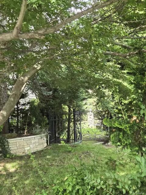 Yard